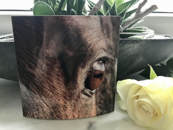 Geschenkgutschein 25,-€